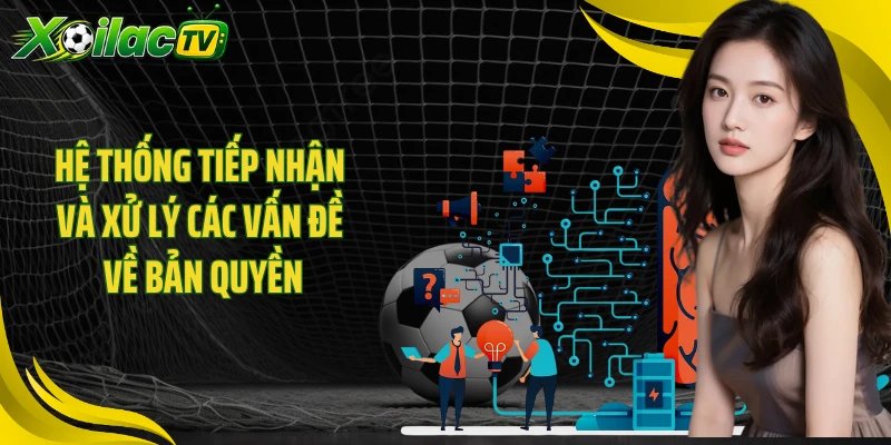 Hệ thống tiếp nhận và xử lý các vấn đề về bản quyền