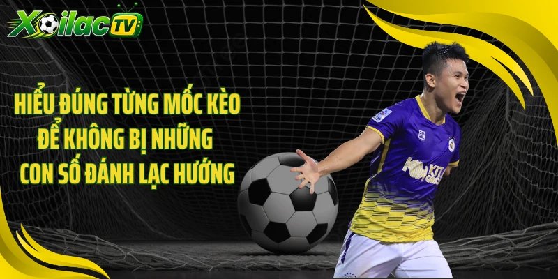 Hiểu đúng từng mốc kèo để không bị những con số đánh lạc hướng