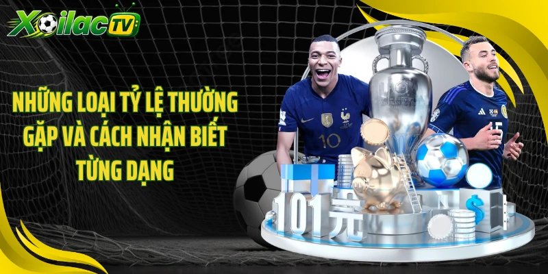 Những loại tỷ lệ thường gặp và cách nhận biết từng dạng