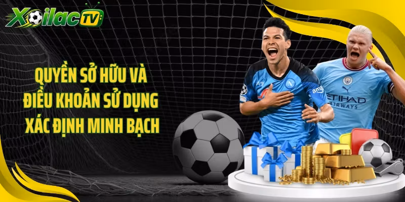 Quyền sở hữu và điều khoản sử dụng xác định minh bạch